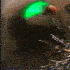 Avatar for oka314