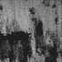 Avatar for xezno