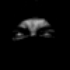 Avatar for BillyWrath