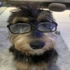 Avatar for Cecicuuuu