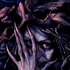Avatar for sayuuki-chan
