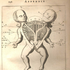 Avatar di Herr_Mondblind