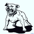 Avatar de K202020