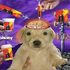 Avatar for realtipsyfry