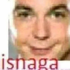 Avatar di discolizardd