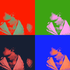 Avatar für jackismuggin