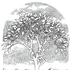 Avatar for The_Lamberman