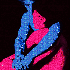 Avatar for hppylittletrees