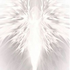 Avatar for saga_ok
