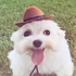 Vadiiiii さんのアバター