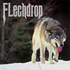 Avatar di FLechdrop