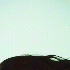 Avatar for Akane45