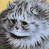 Avatar for agustdpd