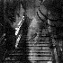 Avatar for deckoxo