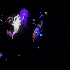 Avatar for WeebJ1