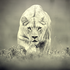 Avatar for versu_s