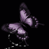 Avatar for freakreligion