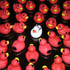 Avatar for SupahDuck