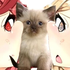 Avatar for Woopwoopsound