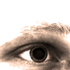 Avatar for OIivera