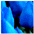 Avatar for Cecilia_Madeira