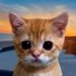 Avatar for Pet Music World