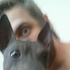 Avatar for AnimalCollector