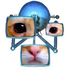 Avatar for Rdwem