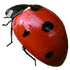 Avatar for itisnofreedom