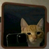 Avatar for ripthruwit