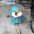 Avatar di pupperdogs