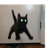Avatar for Lickycat