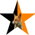 Avatar for Riot_Fox