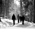Avatar for Agalloch