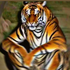 Avatar for Torastok