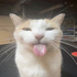 Avatar for chihirofan47