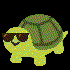 aezkm1 için avatar