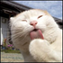 Cilious için avatar