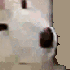 Avatar di meanshrubs