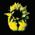 Avatar for dosalod