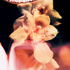 abbie_44 için avatar