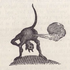 Avatar di rafaeurs