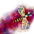 Avatar for Amelioration