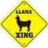 Avatar for CrazyLLama