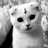 Avatar for yamibleeding
