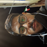 Avatar for jeshuadelahoz