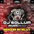 Avatar di DJ Gollum feat. Akustikrausch