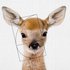 Avatar for wisdomflxr