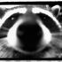 Avatar for Szopek_Imi