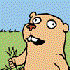 Avatar for Prokaryootti